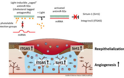 New hope for slow-healing wounds