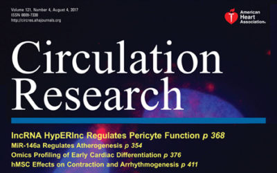 lncRNA HypERlnc Regulates Pericyte Function