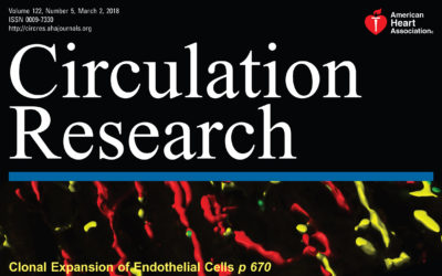 Clonal Expansion of Endothelial Cells